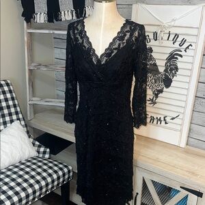 Chic Black Lace Long Semi Sheer  Sleeve Dress